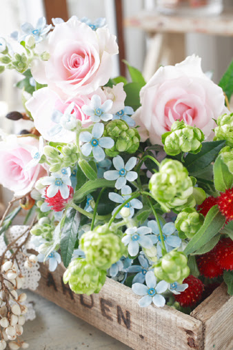 上 壁紙 ブルー スター 花 画像