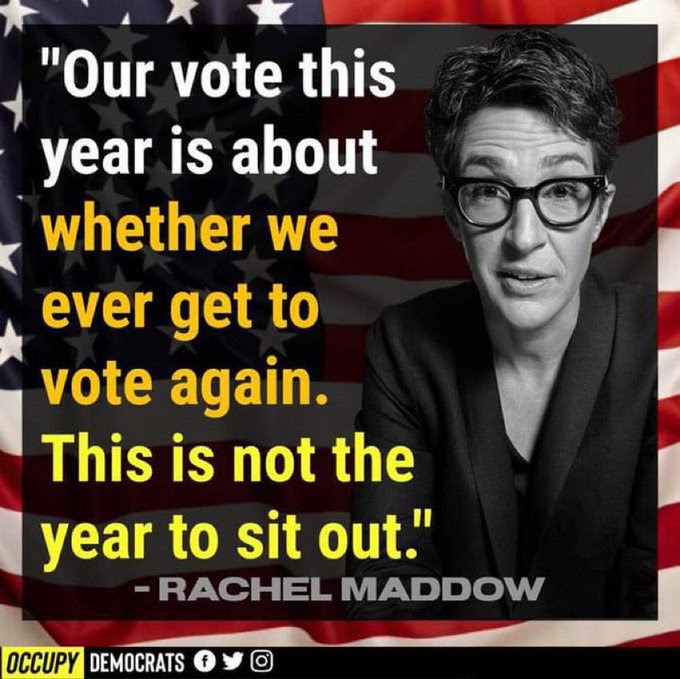 Rachel Maddow poster saying a vote for Republicans will end your right to vote.