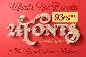 What's Hot Bundle vol.10 - 24 Fonts