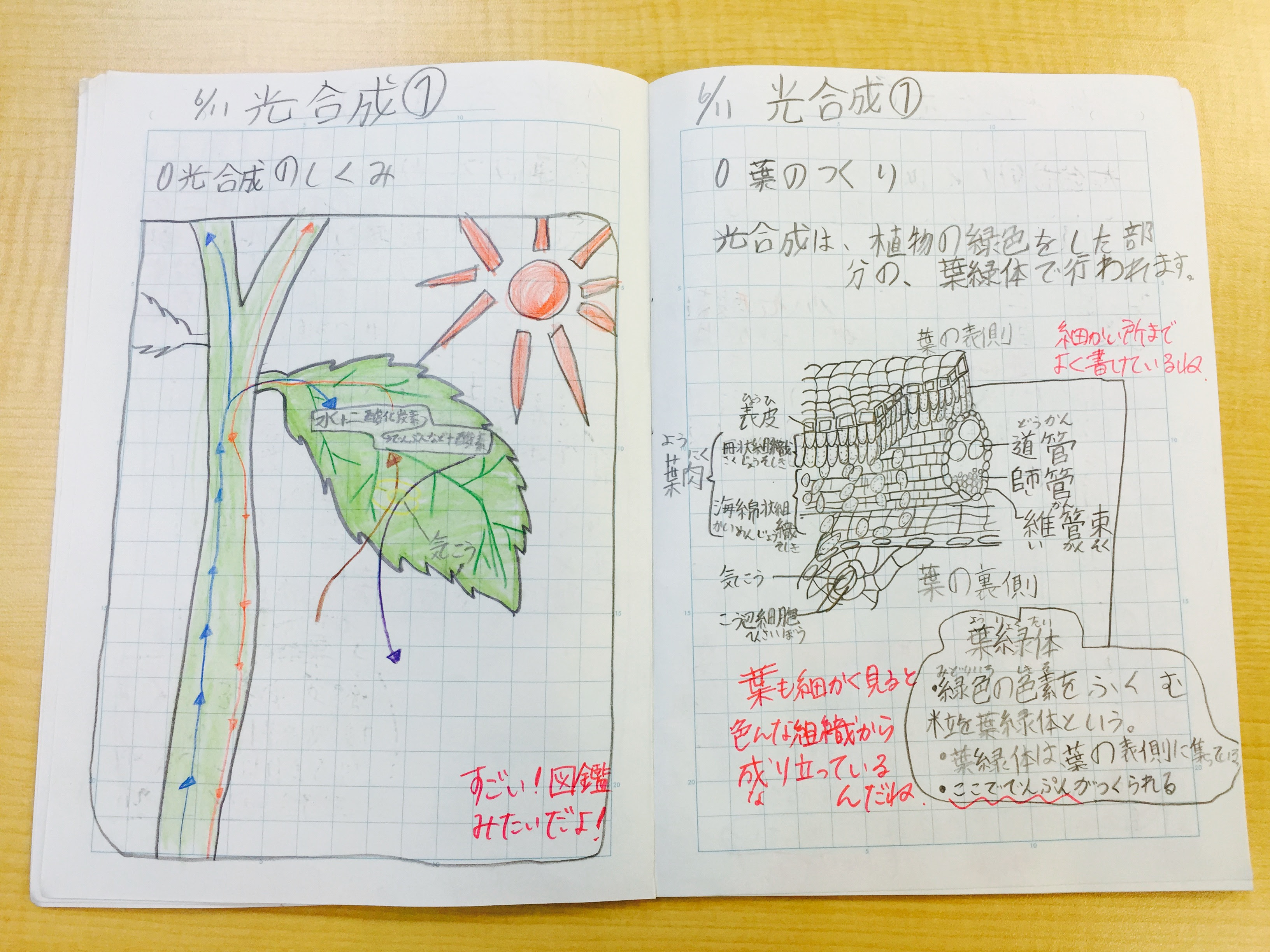 フレッシュ理科自主勉強