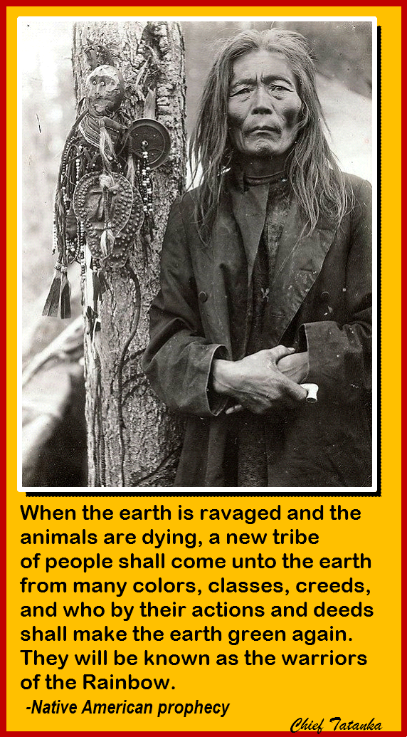 When the earth is ravaged and the animals are dying [...]. — Cree Native Indian Prophecy