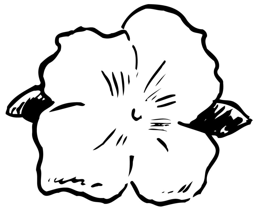 I got bored at 11:00 last night and decided to start drawing with pastels again. Hawaii Flowers Drawing At Getdrawings Free Download