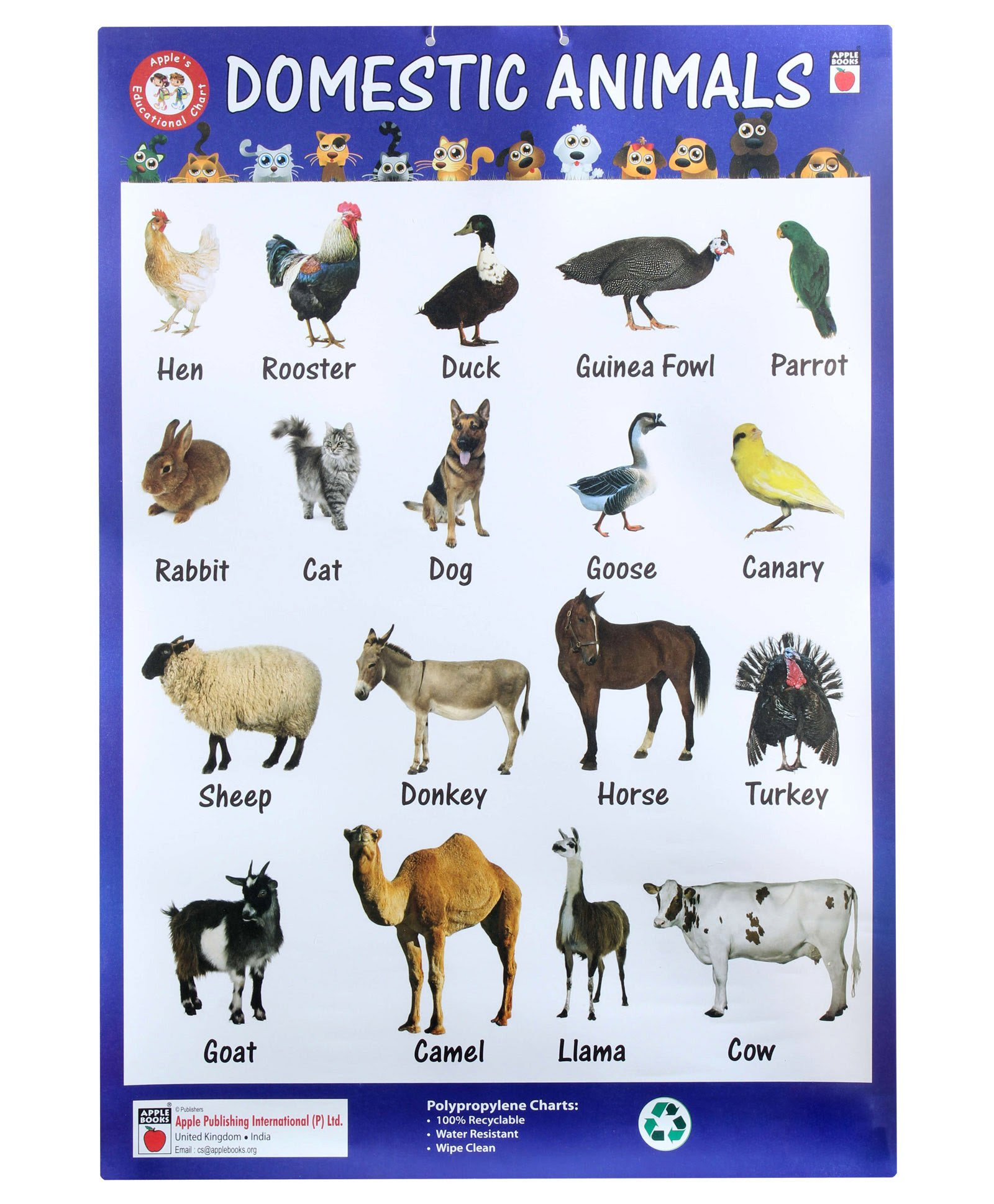 Windows and Android Free Downloads : Name Animal Name ...