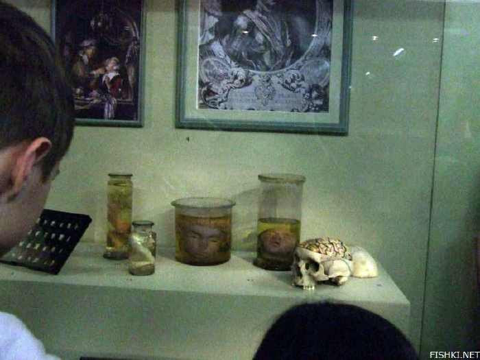 Museum Paling Sadis Dunia, Koleksi Museum Seram Paling Menyeramkan