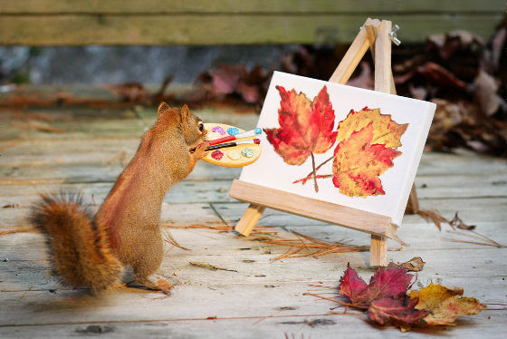 ベスト秋 画像 かわいい スーパーイラストコレクション