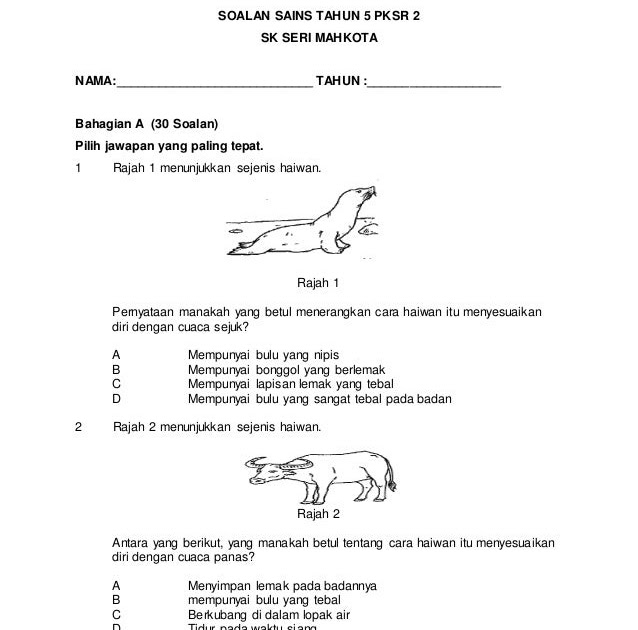 Contoh Contoh Soalan Sejarah Kertas 3 - Contoh Tin