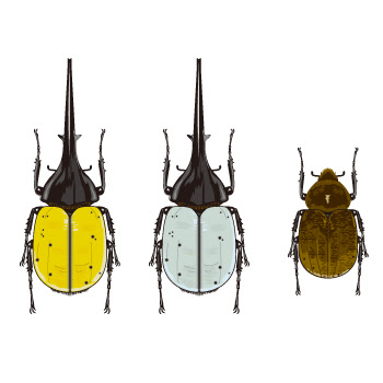 50 ヘラクレスオオカブト カブトムシ イラスト 簡単 Nyosspixo71c
