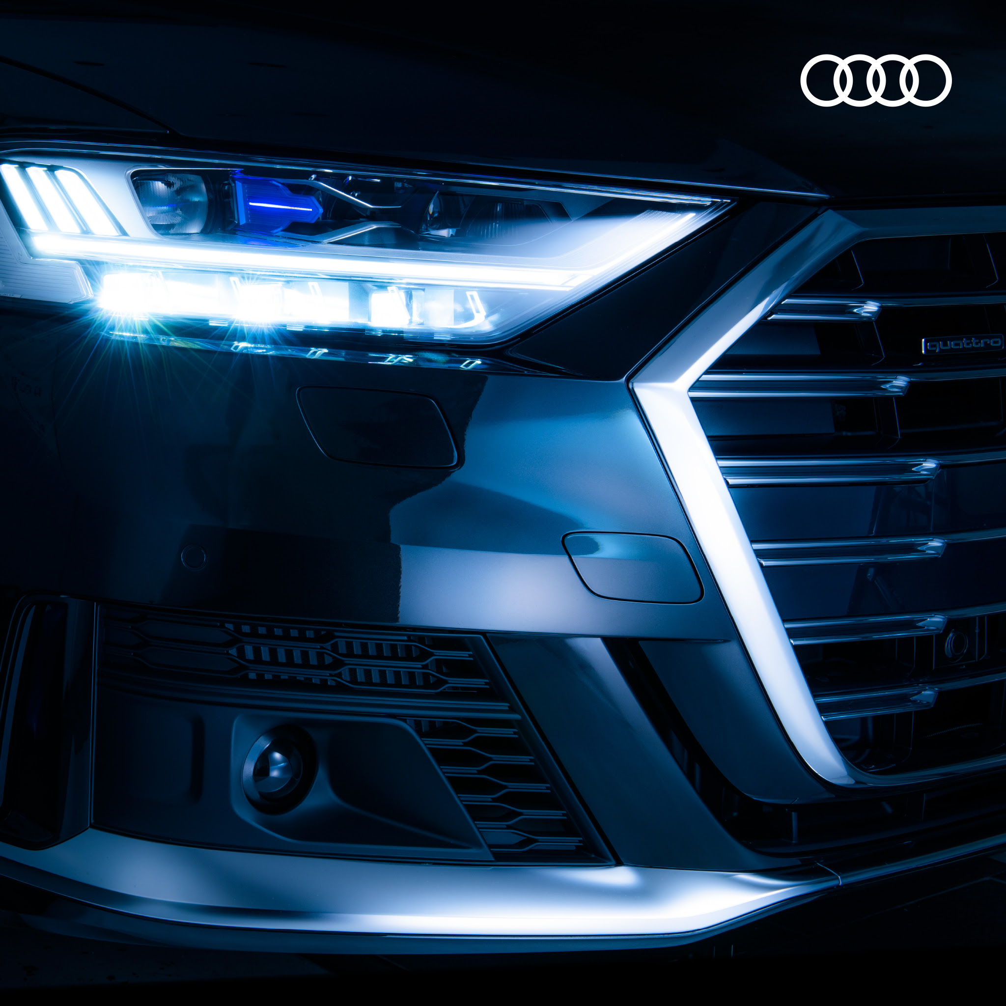 ラブリーaudi 壁紙 最高の花の画像