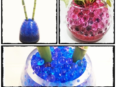 無料ダウンロード 観葉 植物 ゼリー ボール 187028