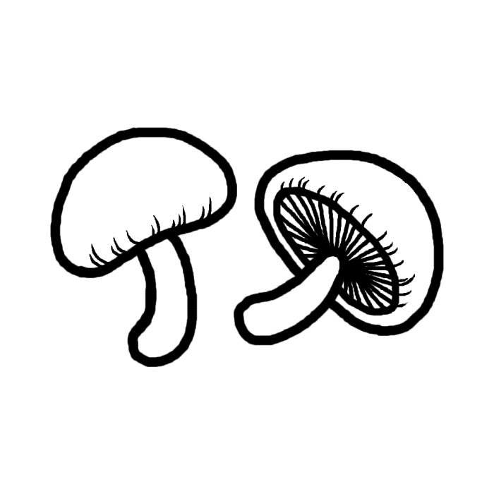 最も好ましい イラスト しいたけ イラスト シイタケ