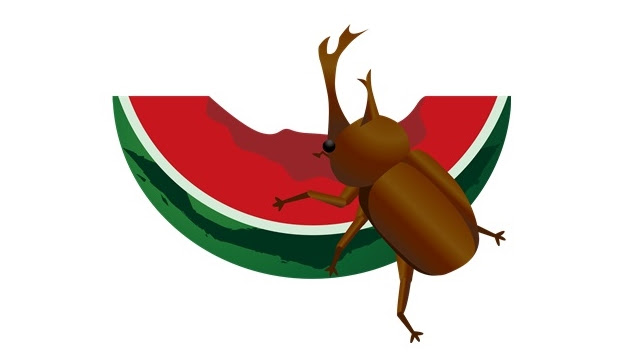 最高の動物画像 綺麗なカブトムシ イラスト 簡単
