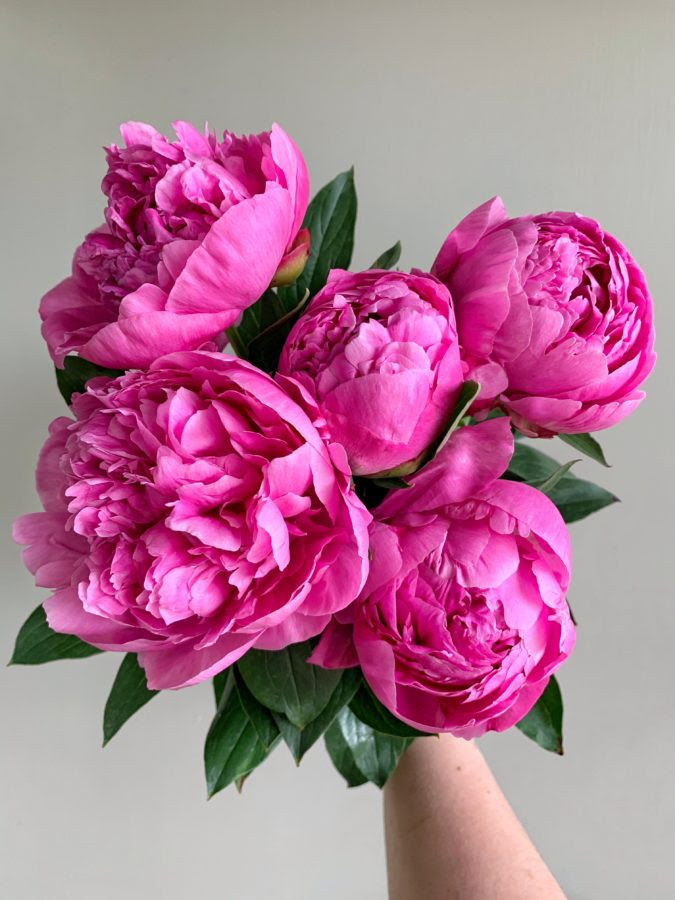 Every flower arrangement is a part of your story. Nashville Flower Market Wholesale Flowers Wedding Flowers