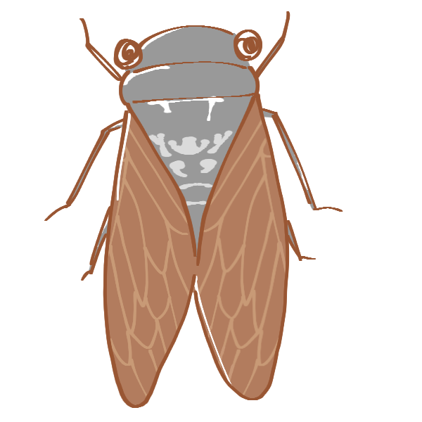綺麗なセミ イラスト かわいい ただのディズニー画像