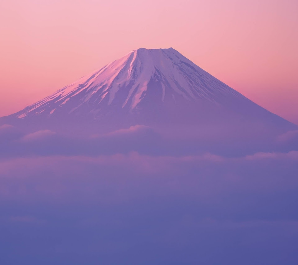 すべての美しい花の画像 ぜいたく壁紙 高 画質 富士山