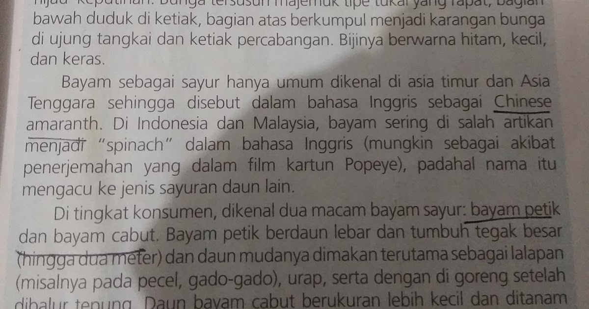 Contoh Soal Menunjukkan Kesalahan Penggunaan Tanda Baca Beserta