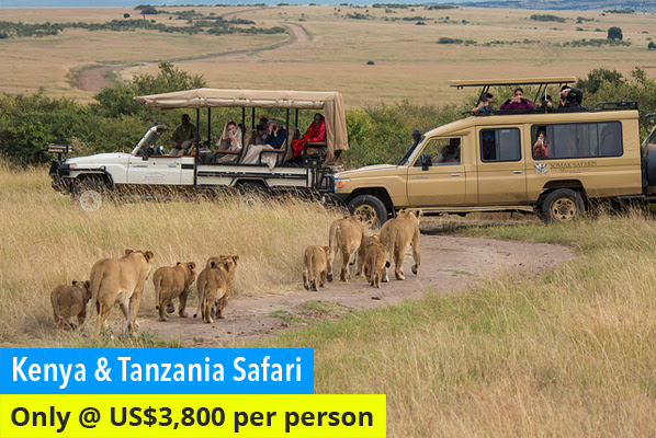 Safari in Maasai Mara