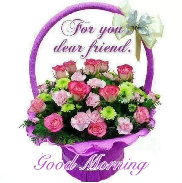 Good morning flowers quotes good morning friday images good morning friends images good morning dear friend good morning happy a collection of good morning pictures, images, comments for facebook, whatsapp, instagram and more. For You Dear Friend Good Morning Pictures Photos And Images For Facebook Tumblr Pinterest And Twitter