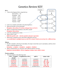 32 Gene Expression Transcription Worksheet Answers ...