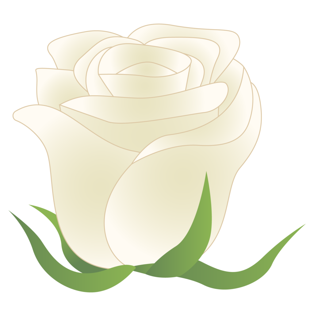 すべての美しい花の画像 50 白い 薔薇 画像 フリー