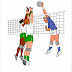 Animasi Bola Volly Bergerak