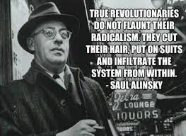 Image result for quote of Communist founder of NAACP