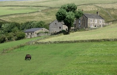 El campo y la ciudad, dos mundos hermosos.