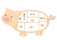 すべての動物の画像 ぜいたくイラスト 鶏肉 部位