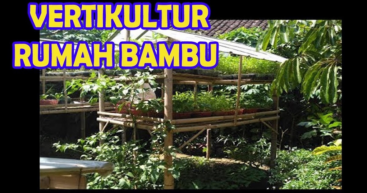  Cara  Membuat  Rak  Tanaman  Dari  Bambu  Berbagi Tanam