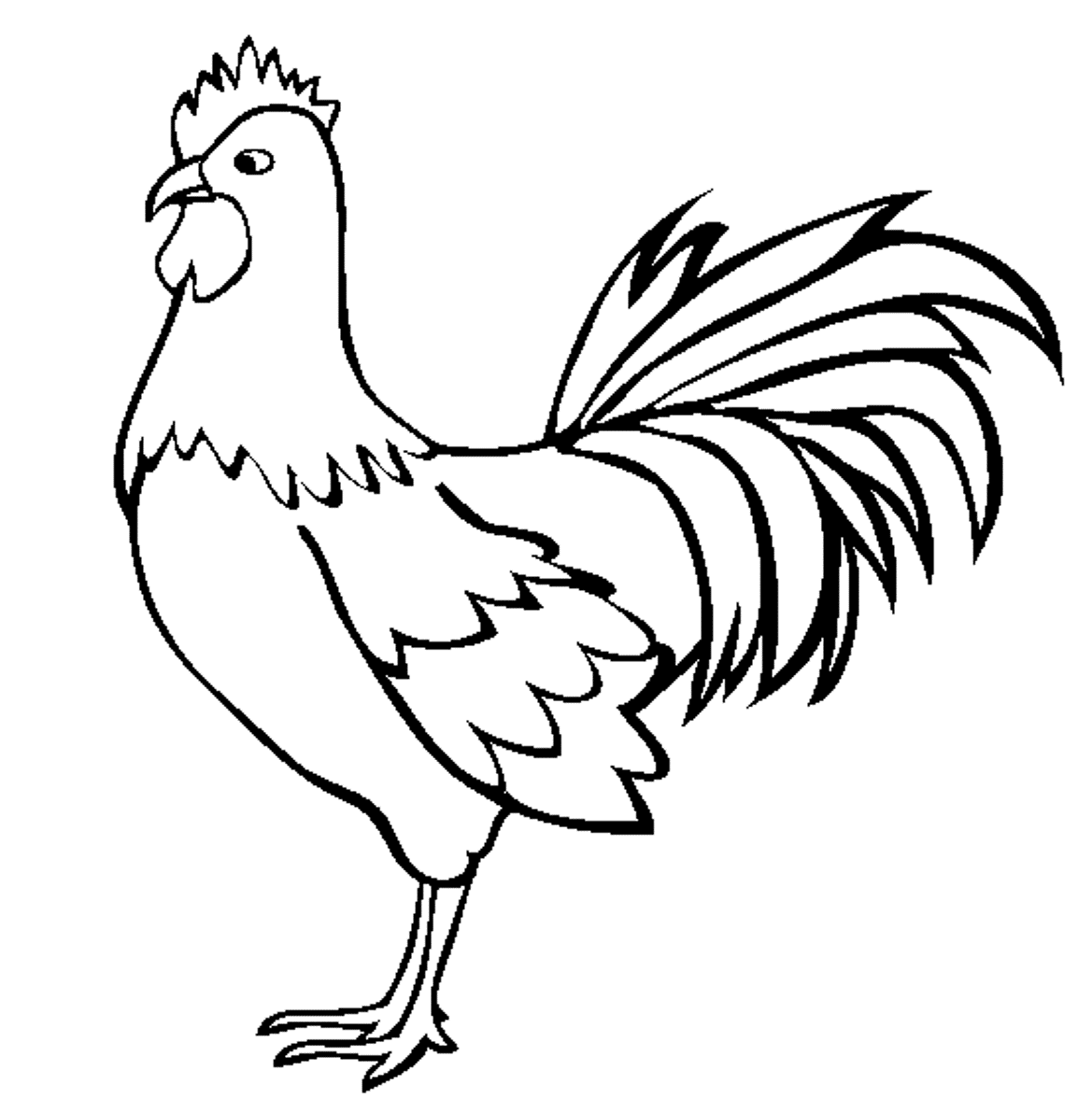 Kumpulan gambar  ayam kartun hitam  putih  Untuk Belajar 