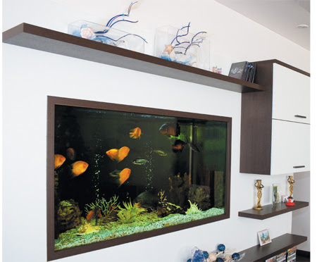 1.8 wall aquarium with eye level view. 25 Rooms With Stunning Aquariums Decoholic