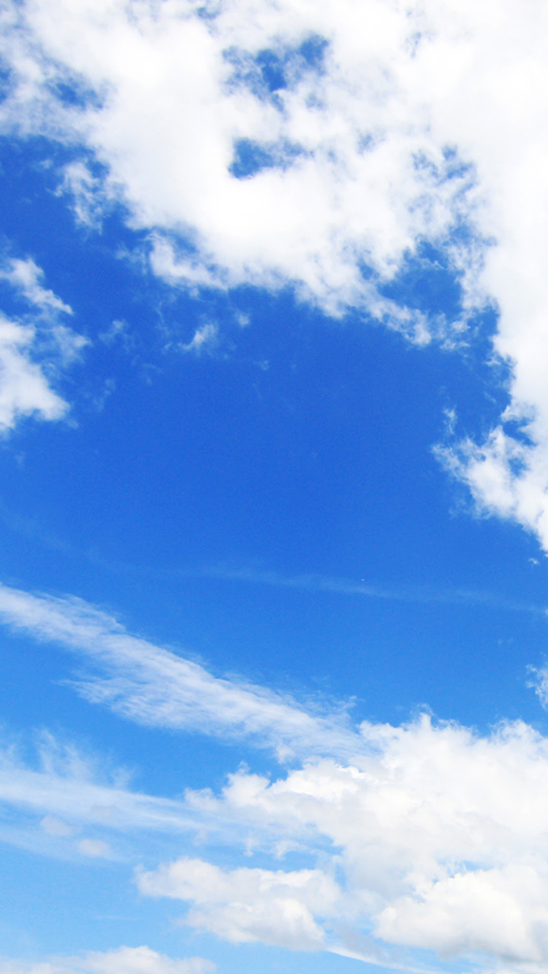 元のスマホ 壁紙 青空 すべての美しい花の画像