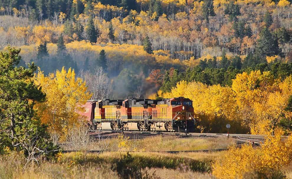 Autumn colors in Montana