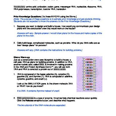 Building Dna Gizmo Answers Key Pdf / Student Exploration ...
