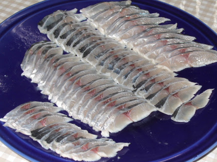 50 魚 サゴシ 最高の花の画像