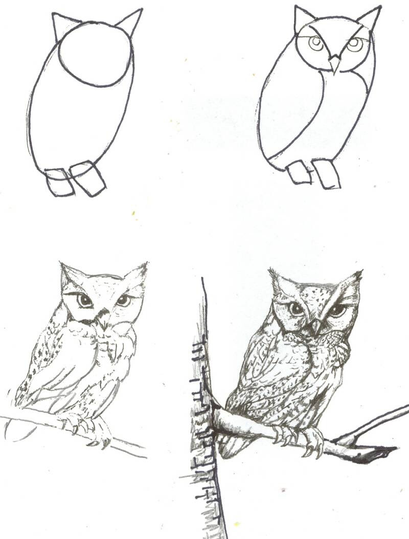 Jun 04, 2021 · you can start with sketching your favorite animal, or drawing an object that means a lot to you, like a ring or old book. Free Drawing Animals Download Free Drawing Animals Png Images Free Cliparts On Clipart Library