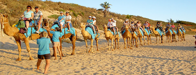 group-tour-Rajasthan