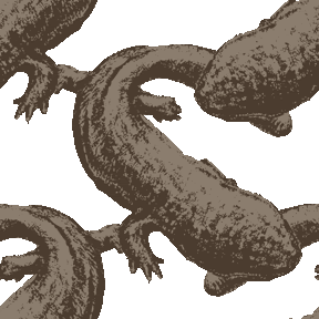 最も人気のある オオサンショウウオ イラスト オオサンショウウオ イラスト 可愛い