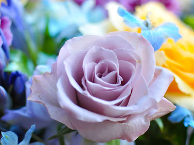 フリー 緑 薔薇 画像 の最高のコレクション 無料イラスト集