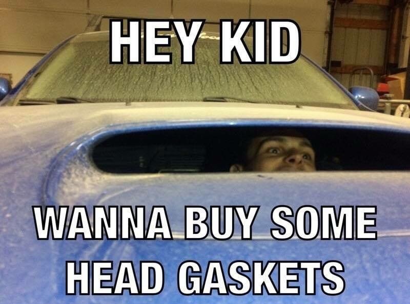 Subaru Head Gasket Meme Candel - bruh look at this dude roblox bruh meme on awwmemescom