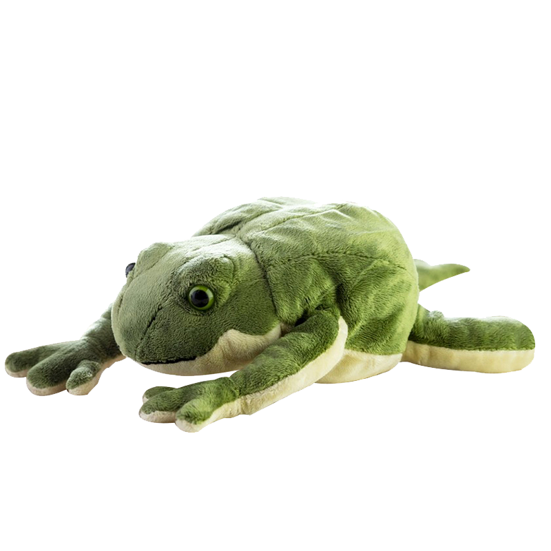 完了しました カエル ぬいぐるみ 画像 カエル ぬいぐるみ 画像