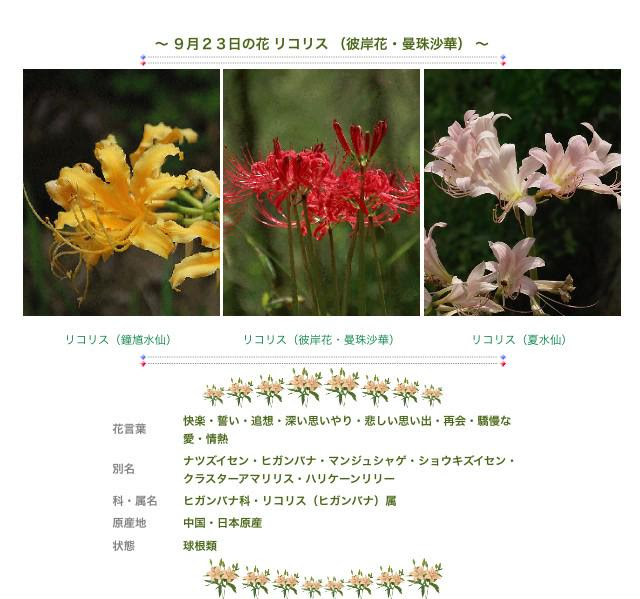 すべての美しい花の画像 上シルベチカ 花