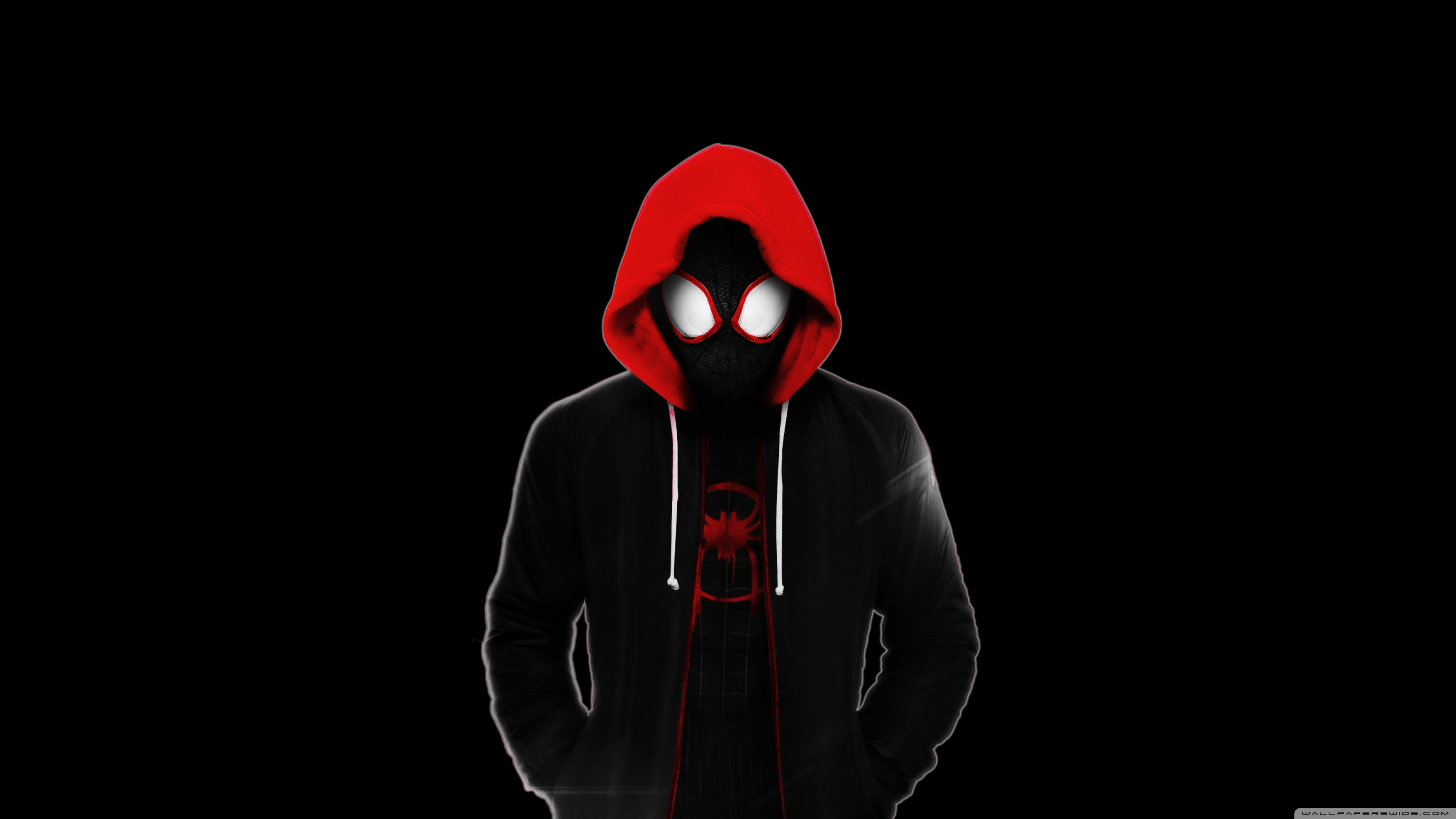 Spider Man Into The Spider Verse Wallpaper Iphone Hd