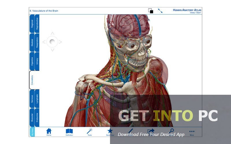 Atlas of human anatomy, 21st german edi. Anatomy Atlas Free Download Answersheavy