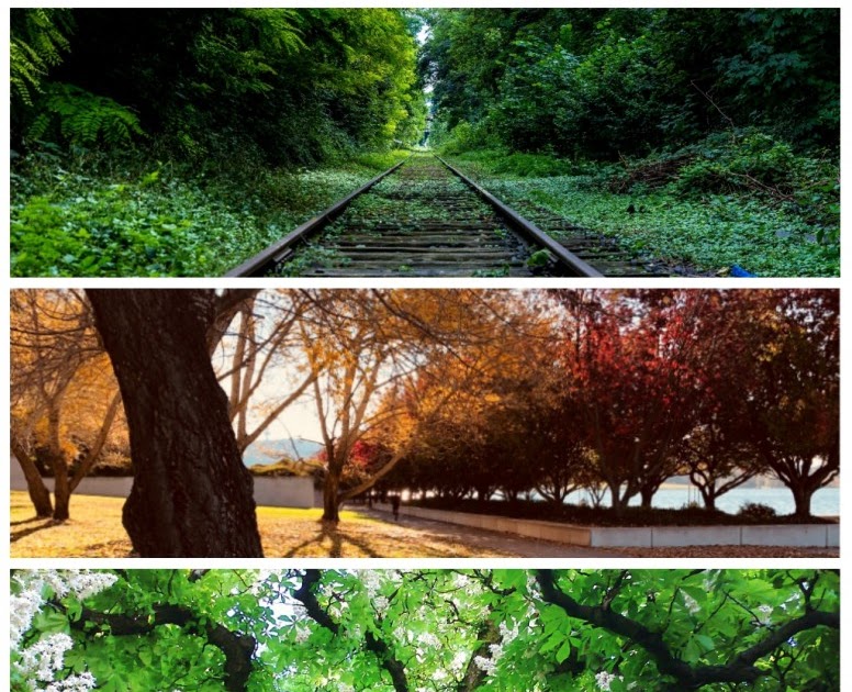 4K Wallpaper Collections Zip / 50000+ HD Nature WallPapers in zip File 4K Wallpapers and ...