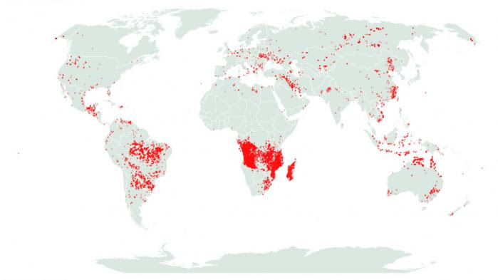 CARTE. Amazonie, Afrique, Sibérie... Où sont les incendies qui ravagent la planète et faut-il s'en inquiéter ?