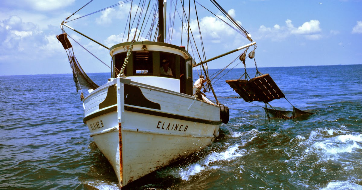 Benadi: Monterey fishing boat plans