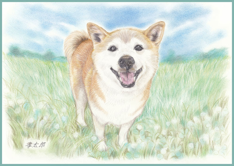 手書き 犬 イラスト リアル 鉛筆 最高の壁紙のアイデアcahd