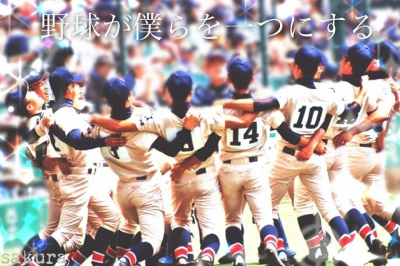 最高の壁紙 名言 高校 野球 すべての美しい花の画像