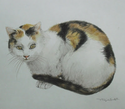 ロイヤリティフリー猫 リアル イラスト 描き方 ディズニー画像のすべて