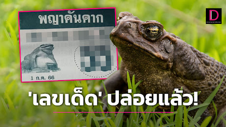 ไม่ต้องรอนาน! ปล่อยมาแล้วหวย พญาคันคาก จับตาเลขเบิ้ลจ้าซะเหลือเกิน | เดลินิวส์